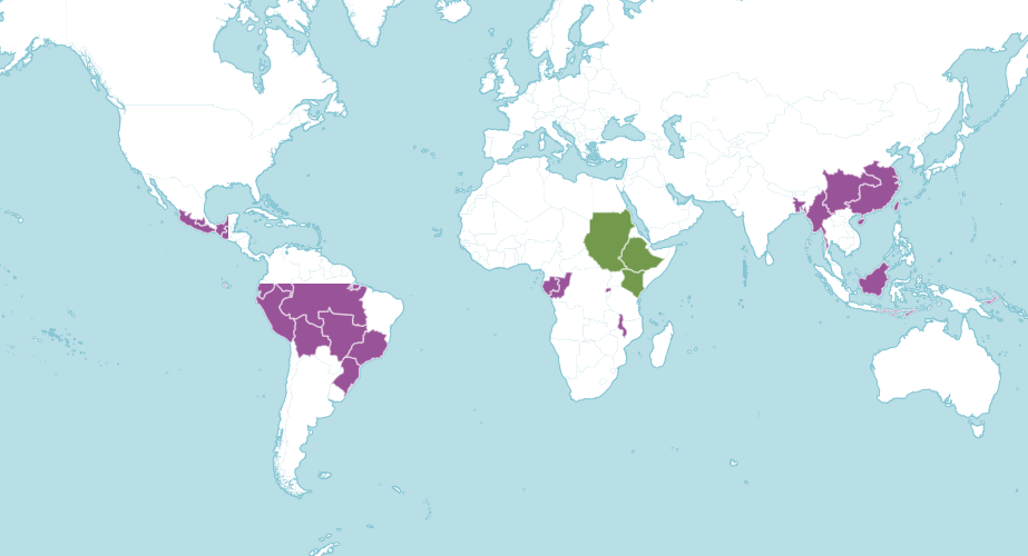Map of the world showing where arabica coffee is native and introduced to