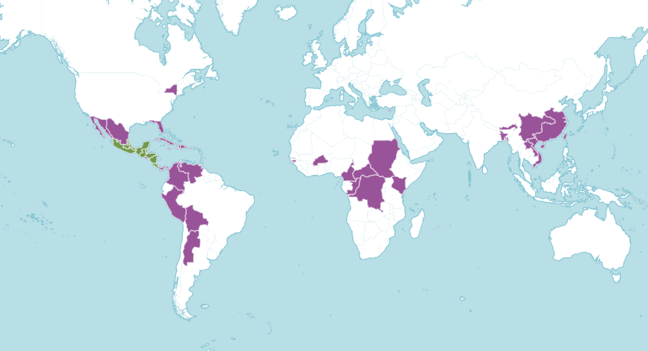 Map of the world showing where avocado is native and introduced to