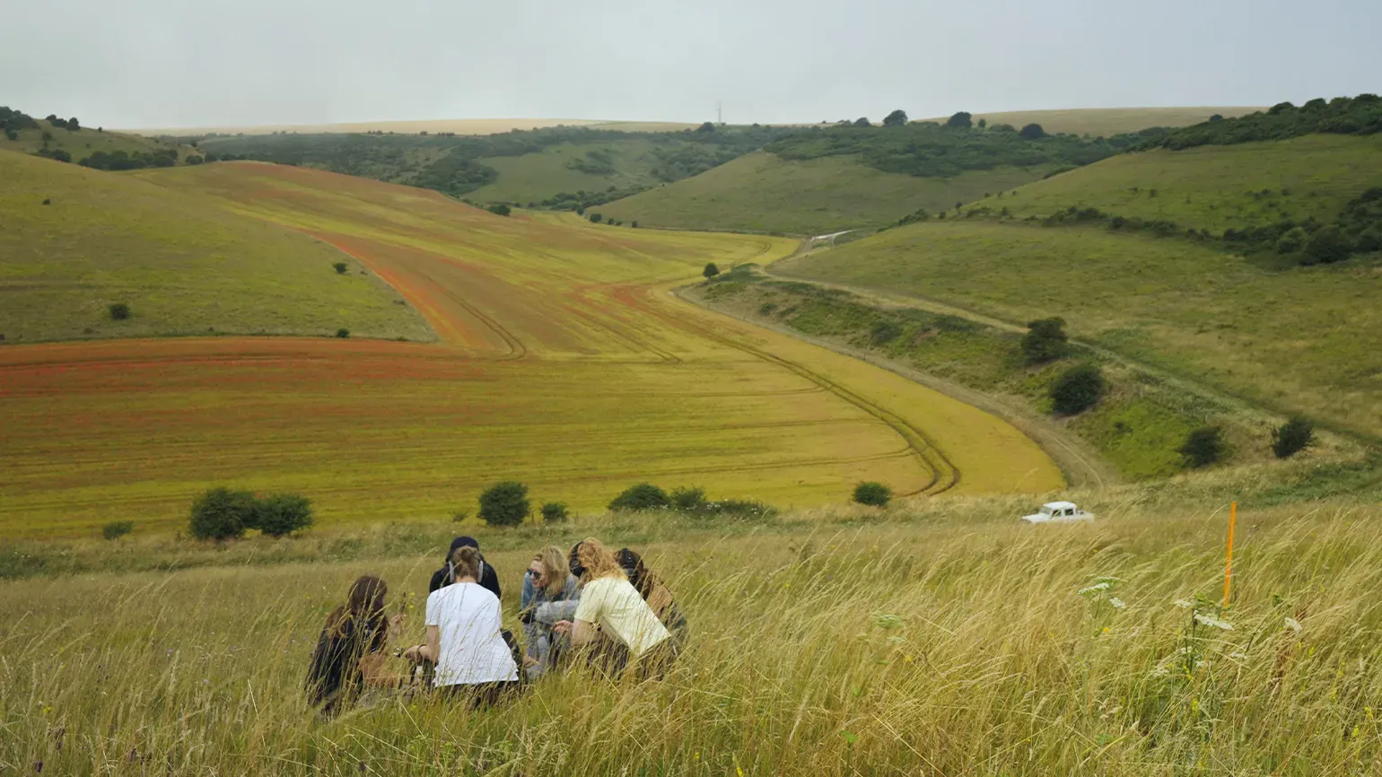 A group of five people crouch on a hill side meadow to collect yellow rattle seeds