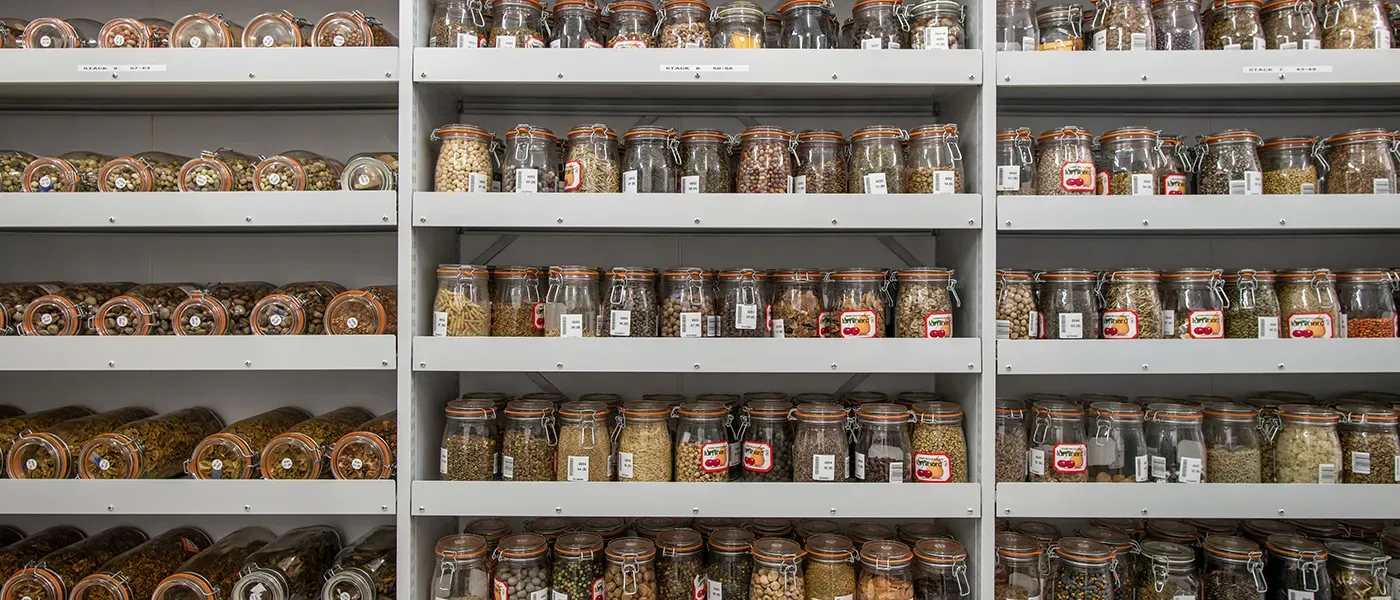 Whole wall of shelves with seeds stored in the Kew Wakehurst Millennium Seed Bankthe MSB