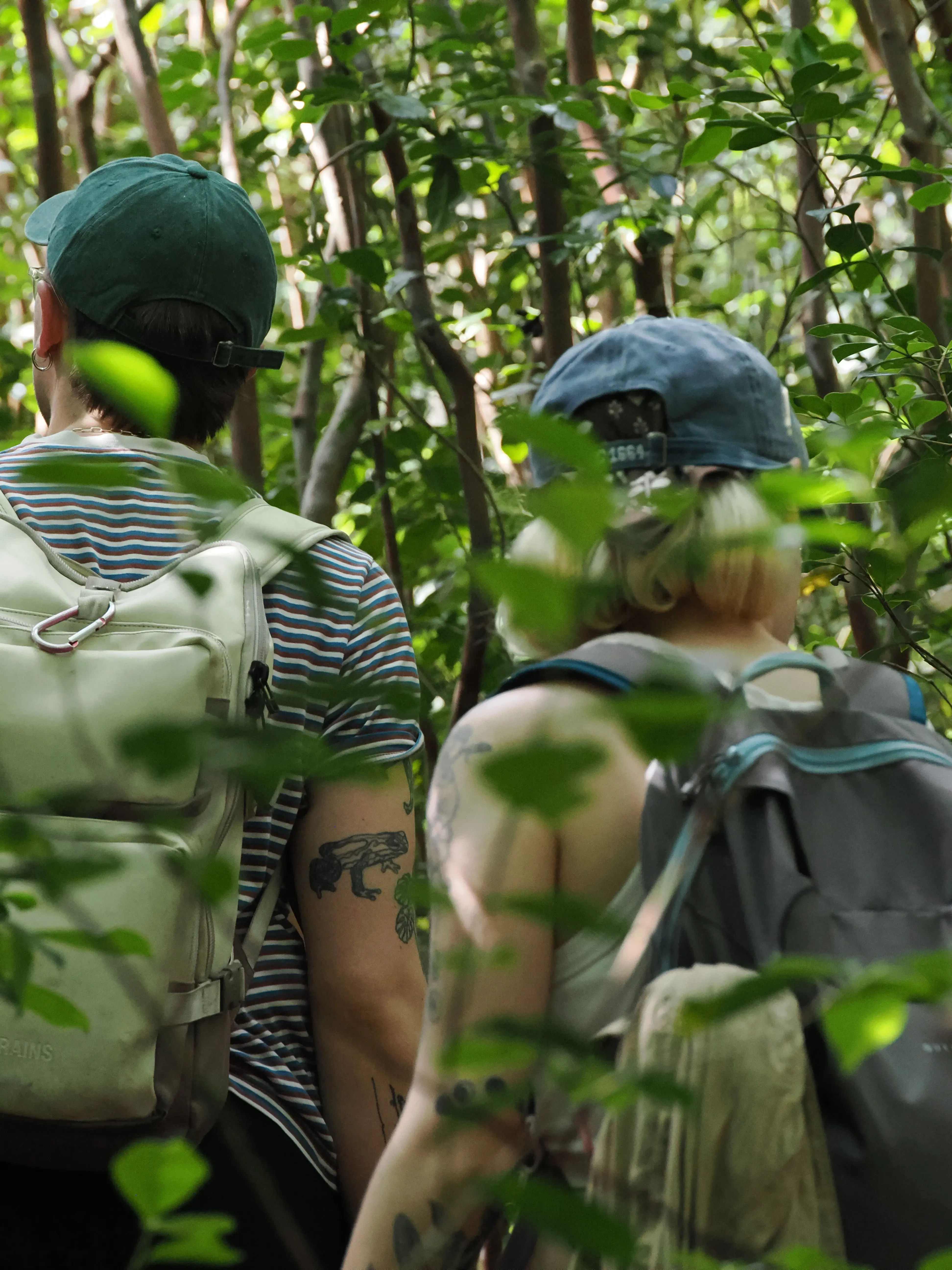 A couple of people walking through the forest