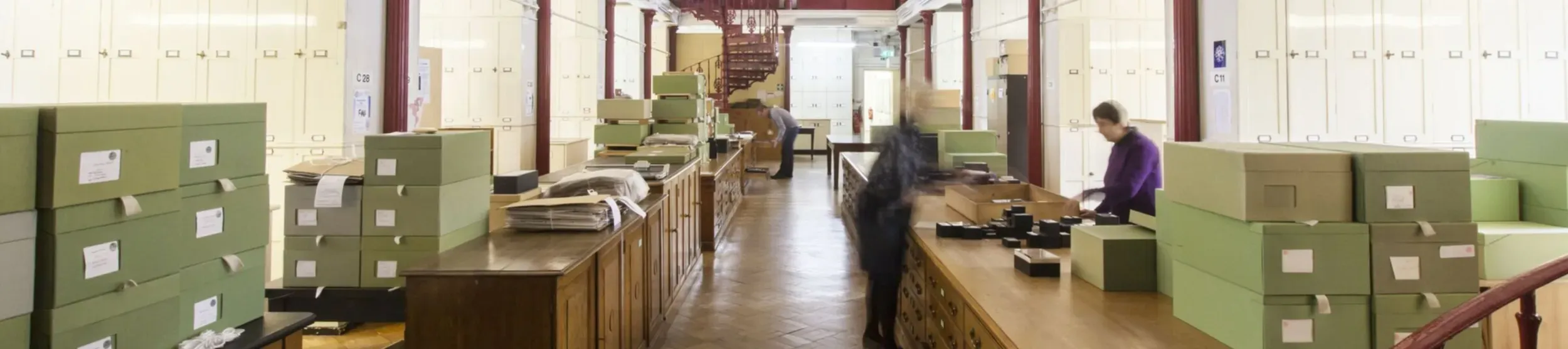 Wing C in Kew's herbarium is outfitted with tall cream cabinets, red railings. People are working at wooden desks surrounded by green archival boxes, herbarium sheets and several boxes from the carpological collections.
