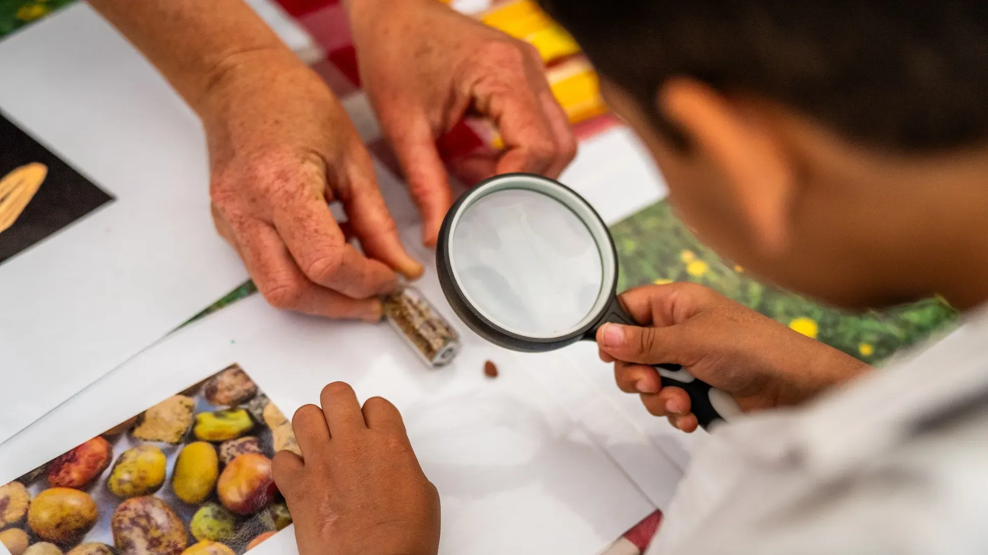 A young child uses a magnifying glass to investigate nature at Spring into Community at Wakehurst