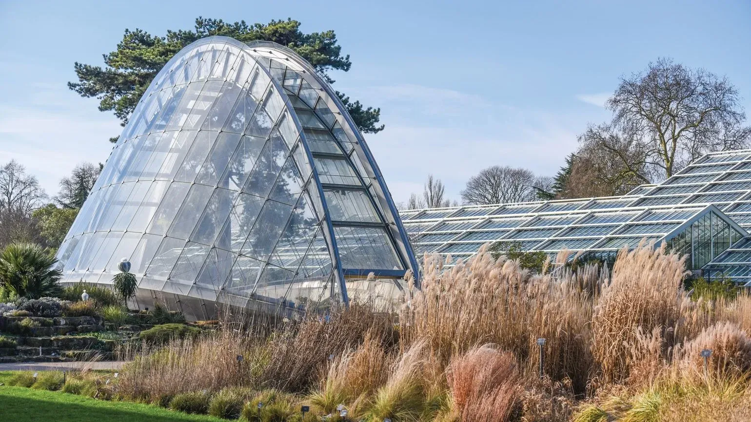 Large clamshell-like glasshouse at Kew Gardens