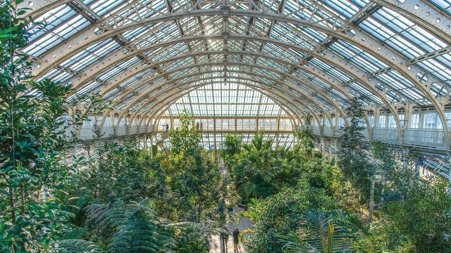 View from the top level of the Temperate House with lush greenery below a glass ceiling