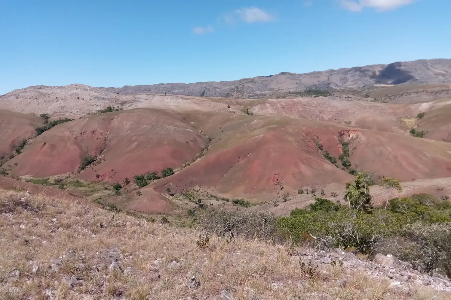 Itremo Massif grassland and woodland landscape, Madagascar
