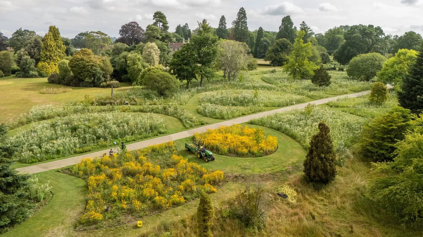 A birds-eye view of Wakehurst's American prairie, with a path going through the middle.