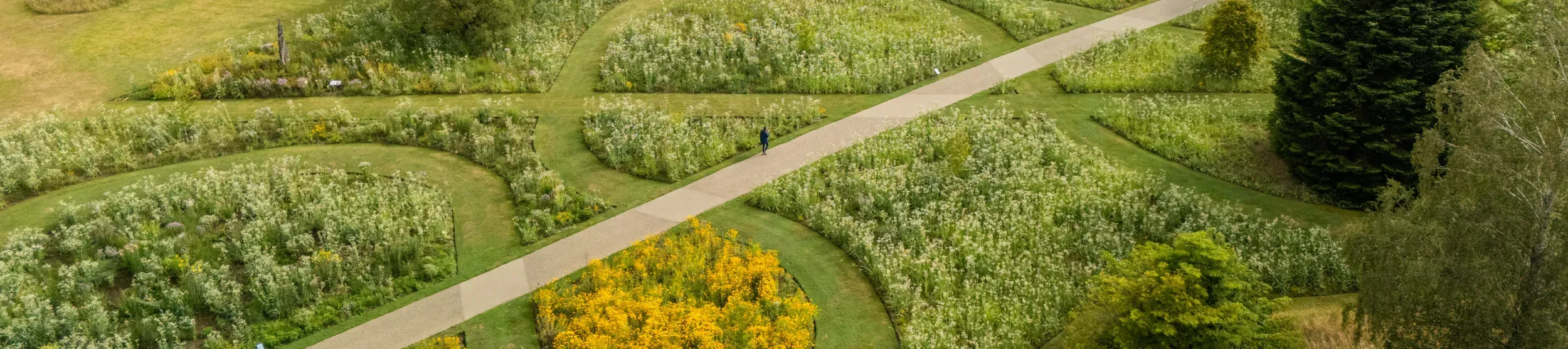 A birds-eye view of Wakehurst's American prairie, with a path going through the middle.