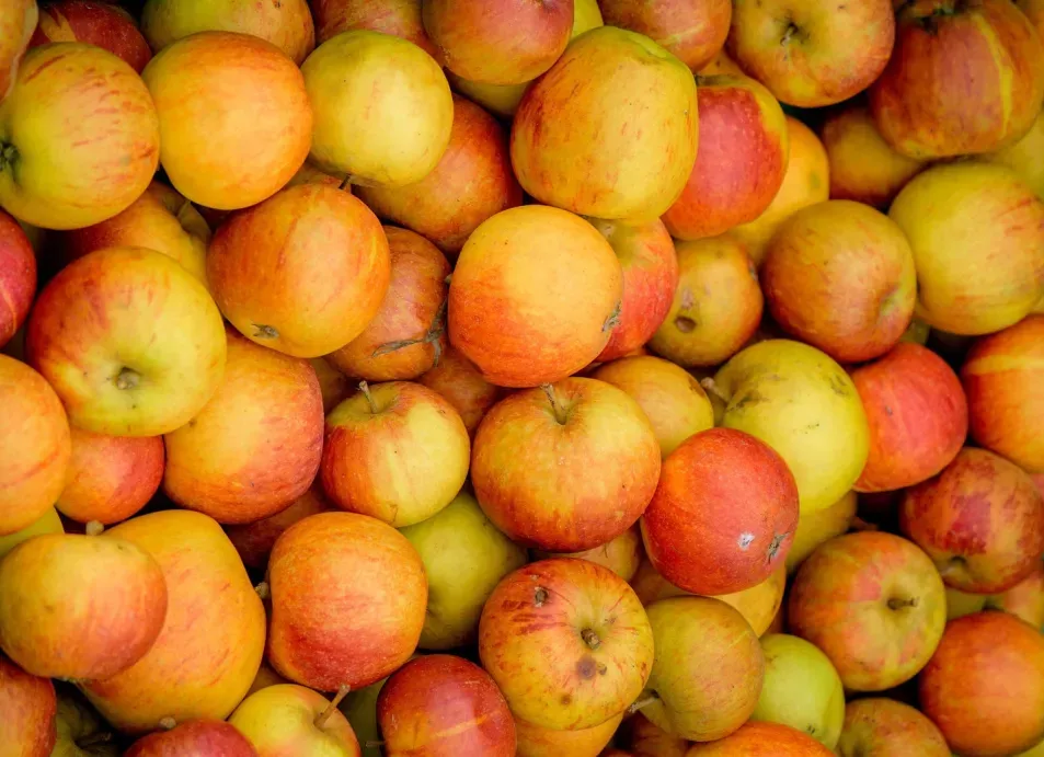 Several red and green apples