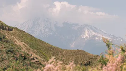 A mountainous scene in Armenia. A flower-covered bush is in the foreground