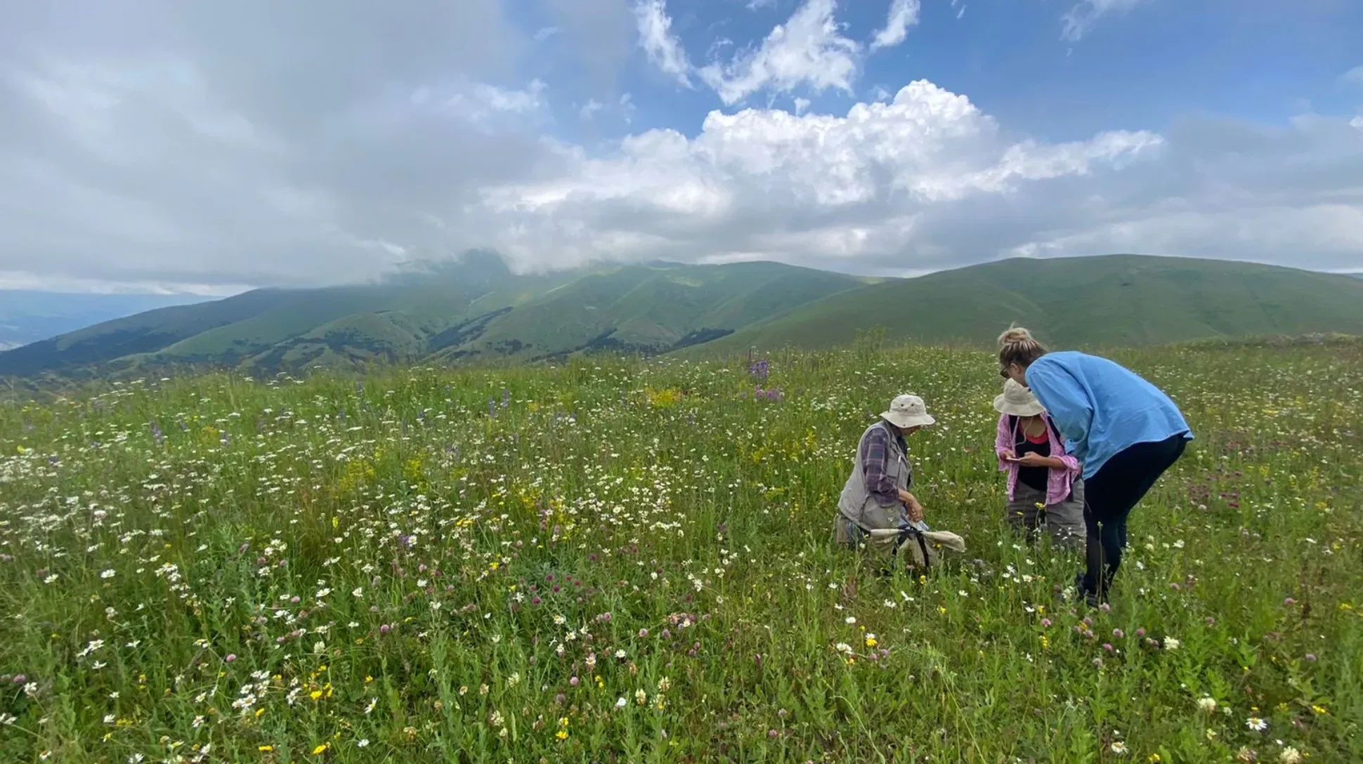 Three people kneel in a green grassy field collecting orchid seeds until a cloud filled sky