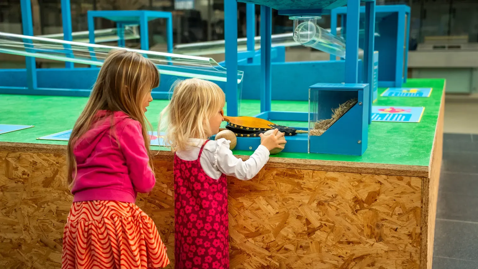 Bank a seed activity in the Millennium Seed Bank