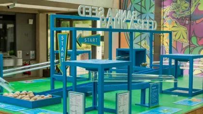 Bank a seed activity in the Millennium Seed Bank