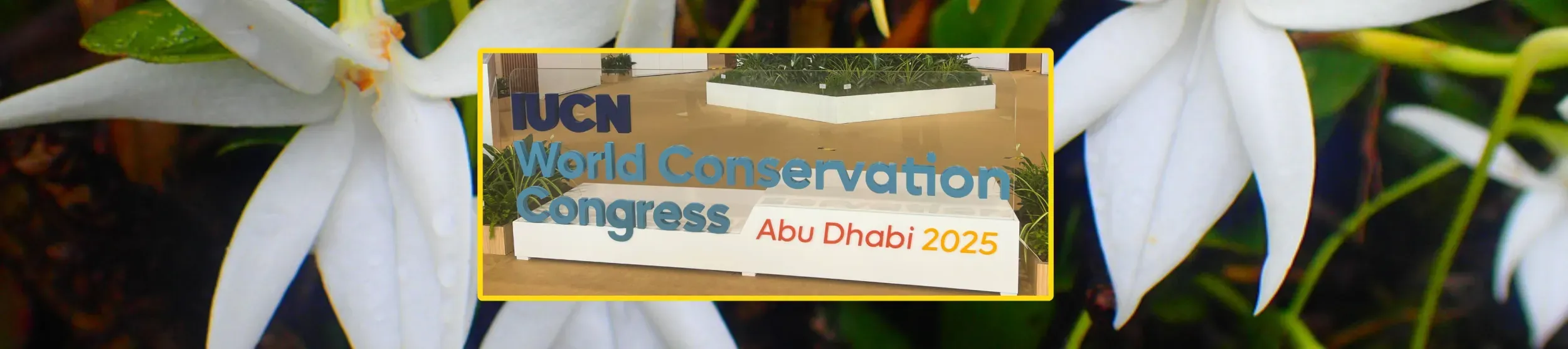 IUCN Congress 2025 blog banner 