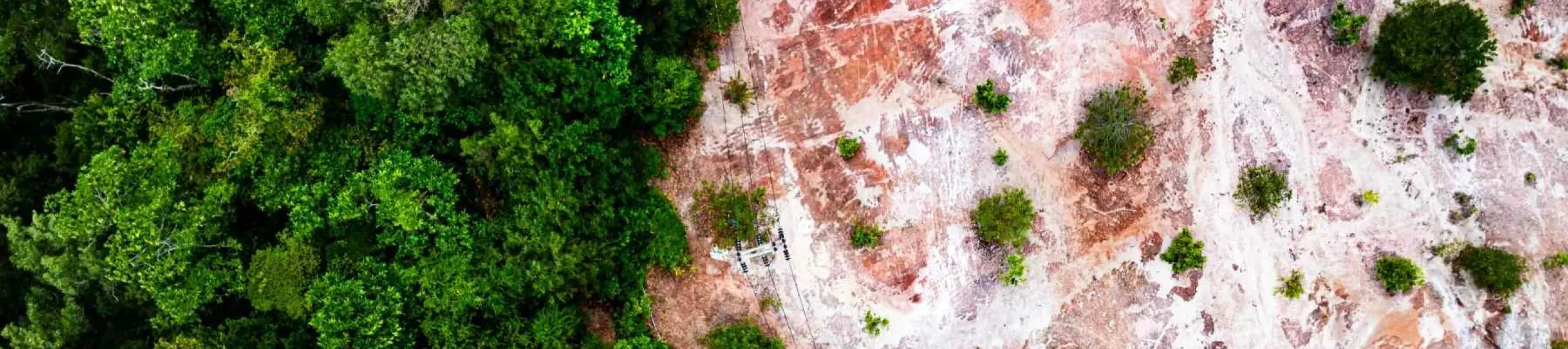 Deforestation shown to the right side of the image but the intact forest is on the left 