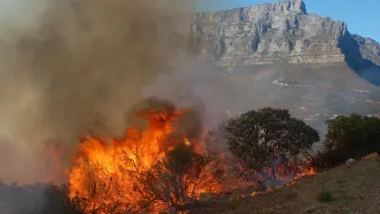 Fire on Signal Hill in Table Mountain National Park