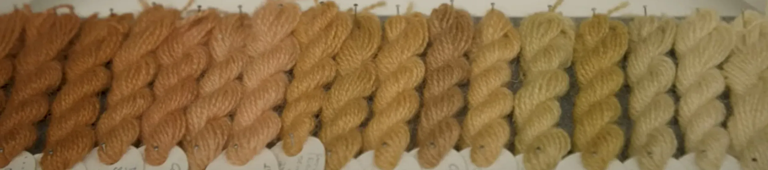 Several pieces of yarn that have been dyed different colours using fungus based dyes.