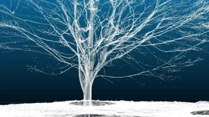 LiDAR scan of tree at Wakehurst