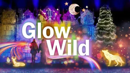 Glow Wild 2025