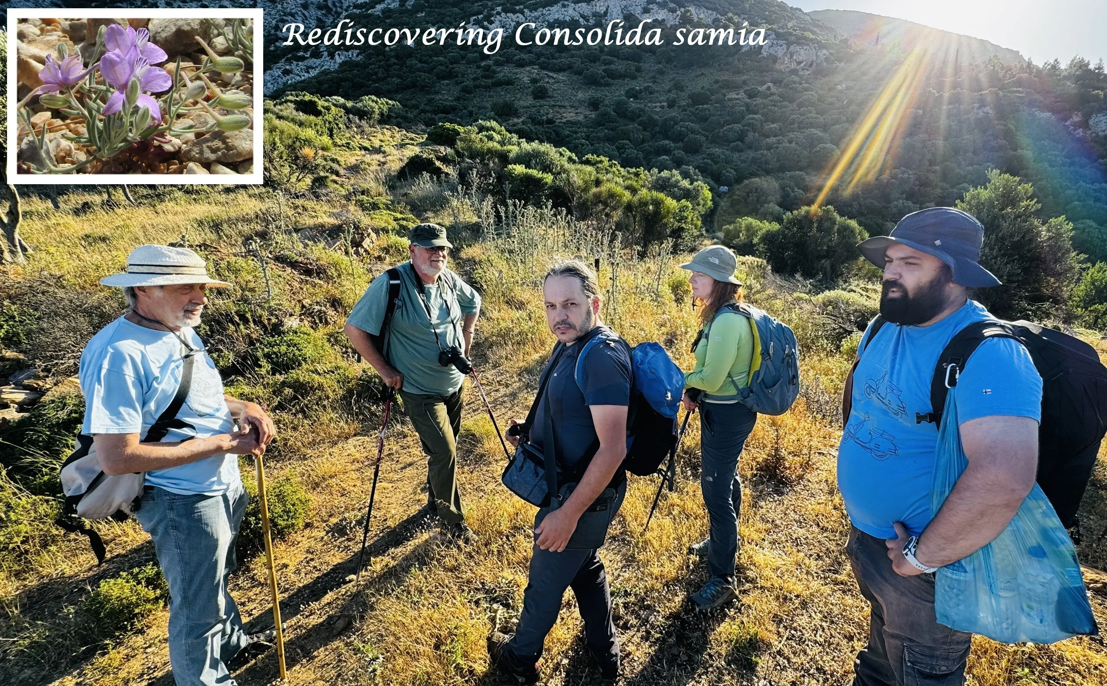 A research team stand in a hilly grassy area. Overlaid is a photo of a rediscovered species in flower