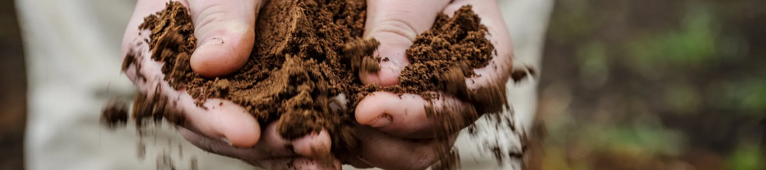 Hands in soil