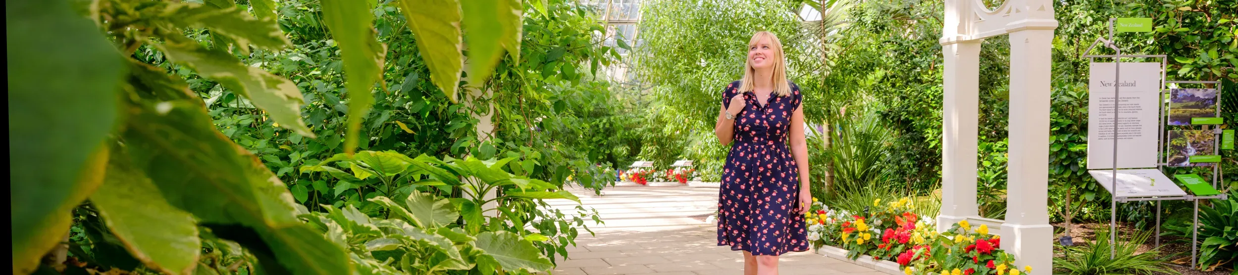 A visitor explores the Temperate House