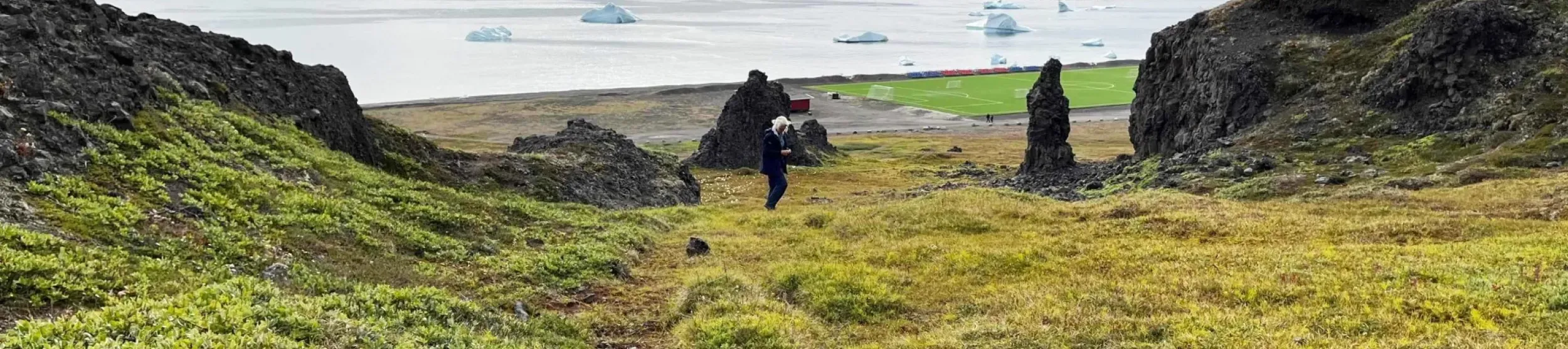 A view out to sea. In the foreground are lots of plants and two discarded rucksacks. A person is standing between some rocks with icebergs behind