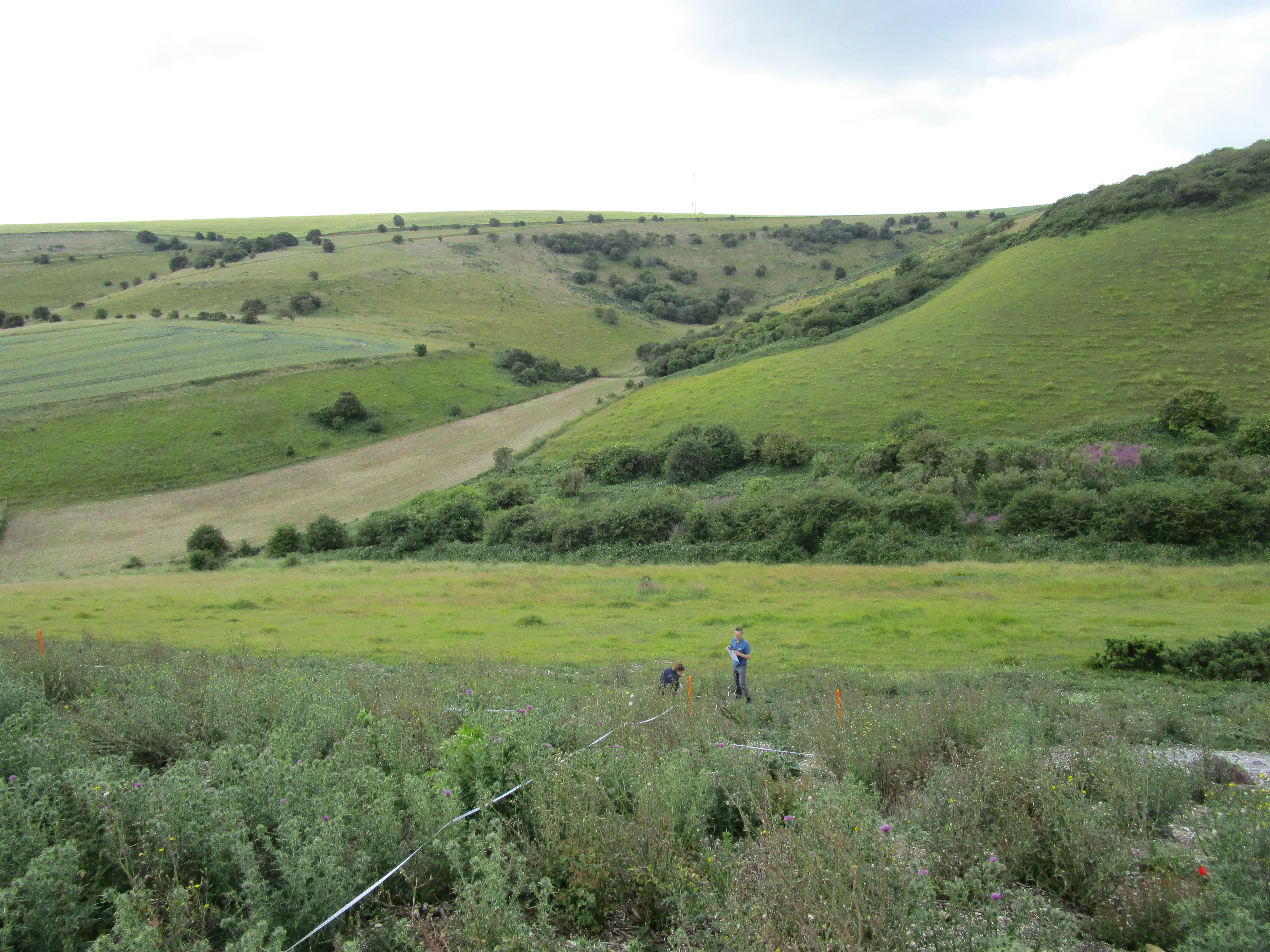 Among a hilly landscape of scrub and grassland, two Kew scientists are carrying out research