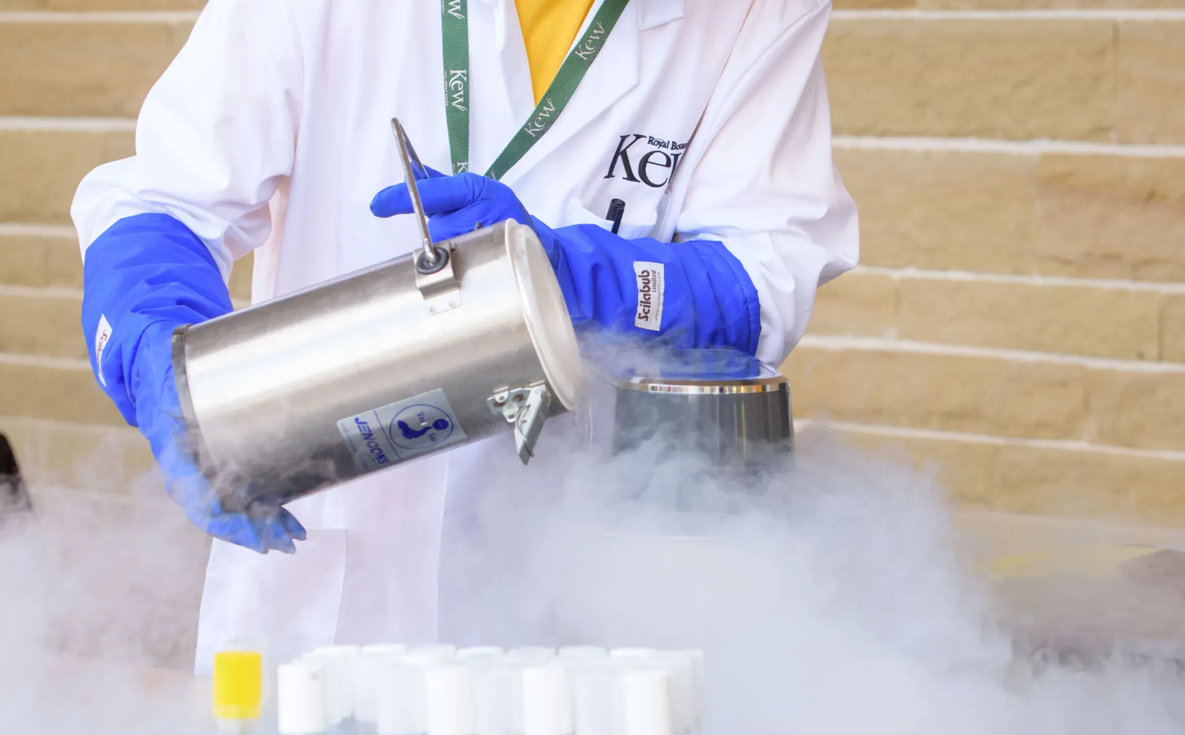 Cryo Corner at Kew Science Festival at Wakehurst, RBG Kew/Jim Holden
