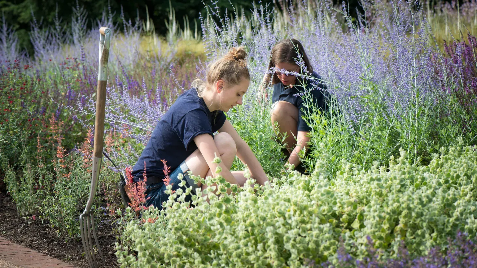 Two horticulturists apprentices working in the gardens at Kew