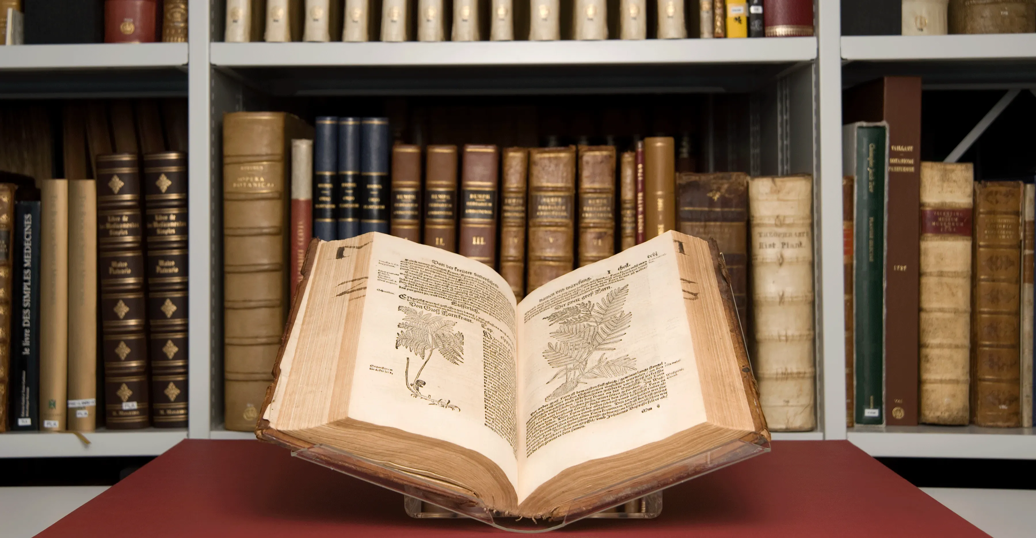 An old book open in the library