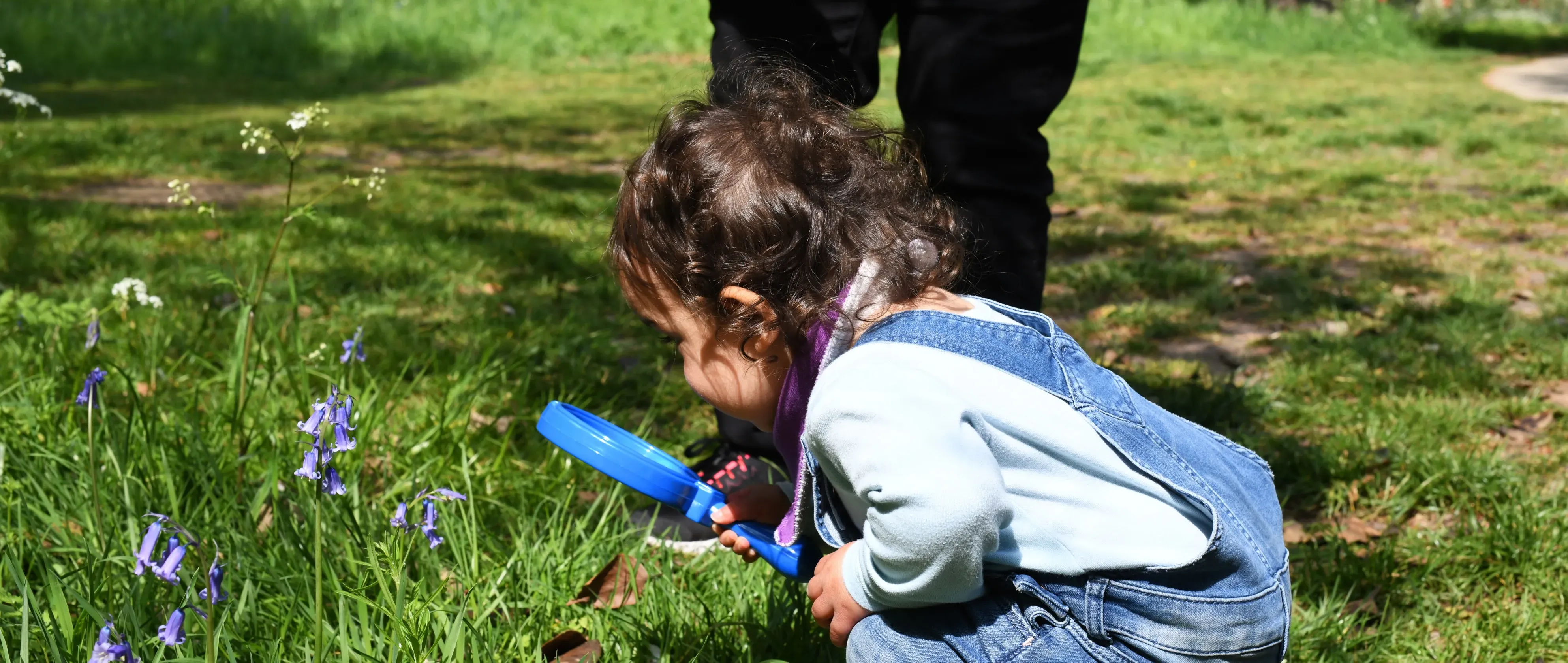 Little Explorers activity 