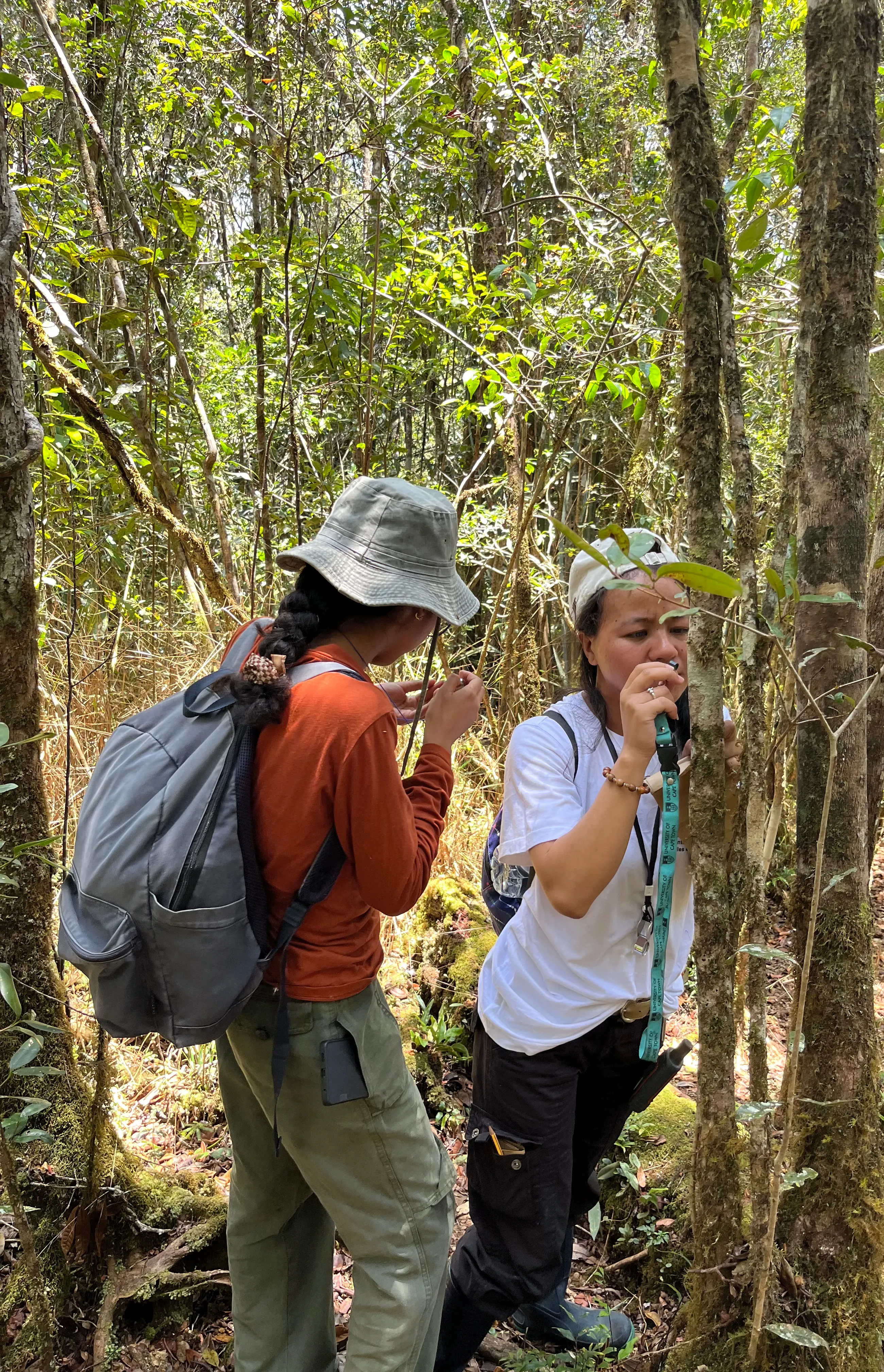 Two people in a forest