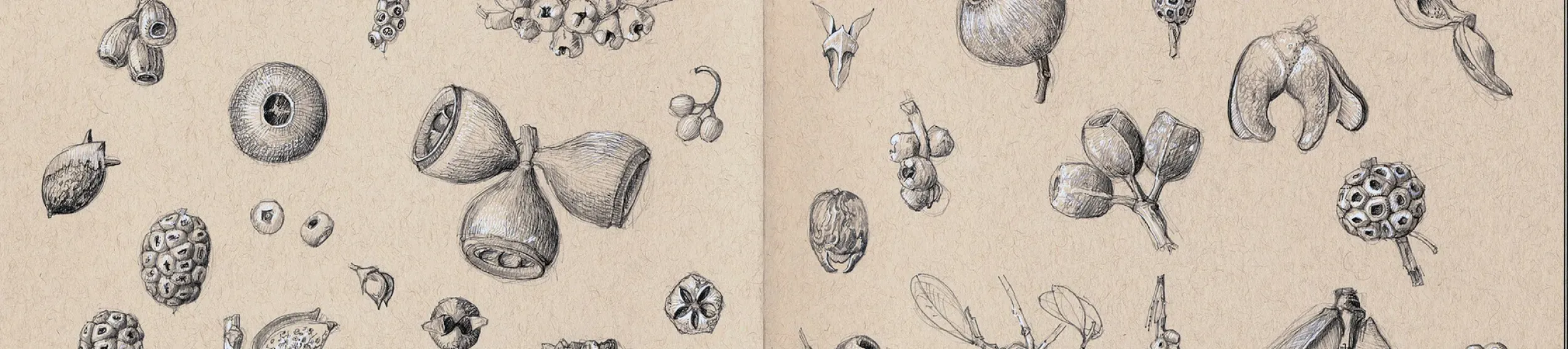 © Copyright Lucy T Smith