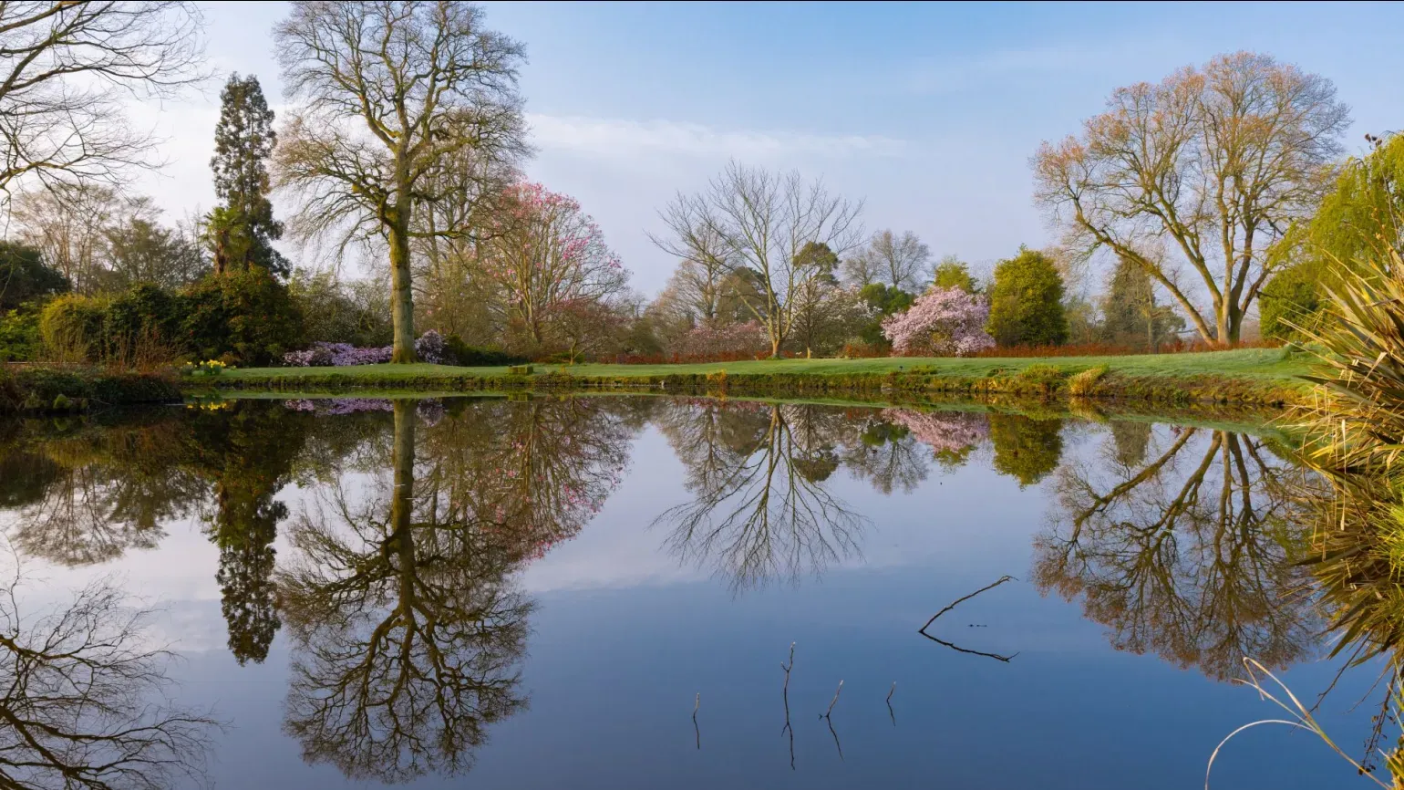 A reflective pond surrounded by grass and trees