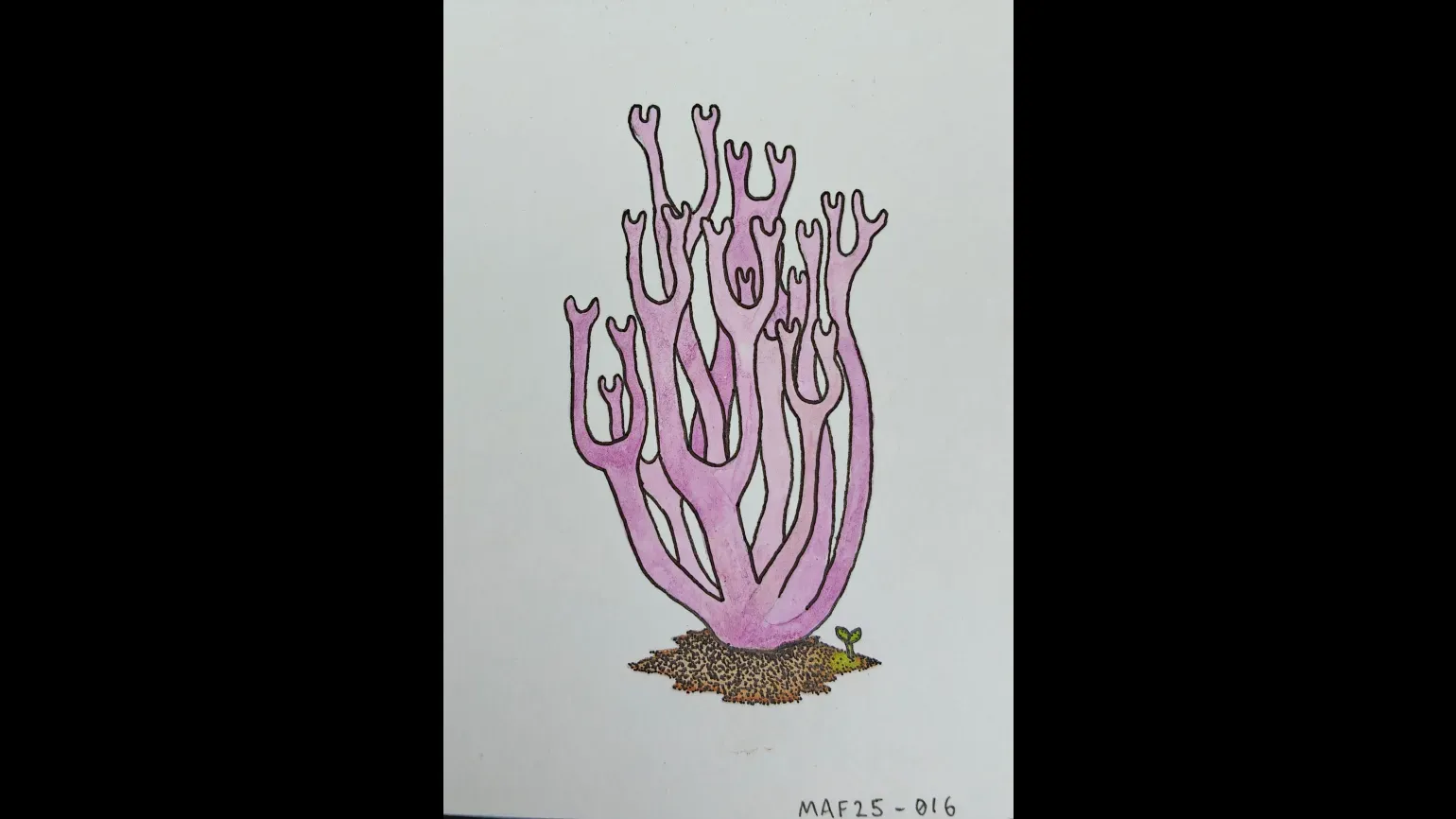 A watercolour painting of a purple coral fungus
