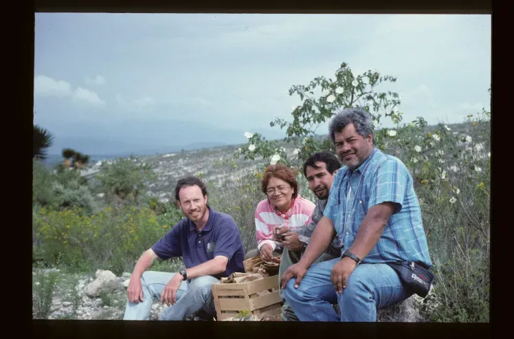 Four people sit on a brick wall infront of an area covered by grasses and bushes