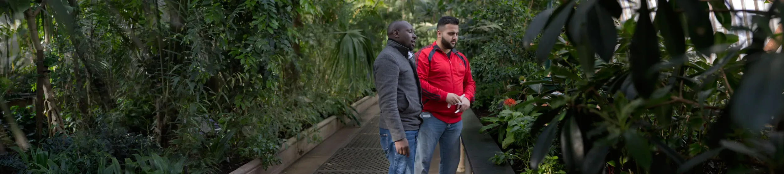 Researchers looking at plants in Kew's Palm house