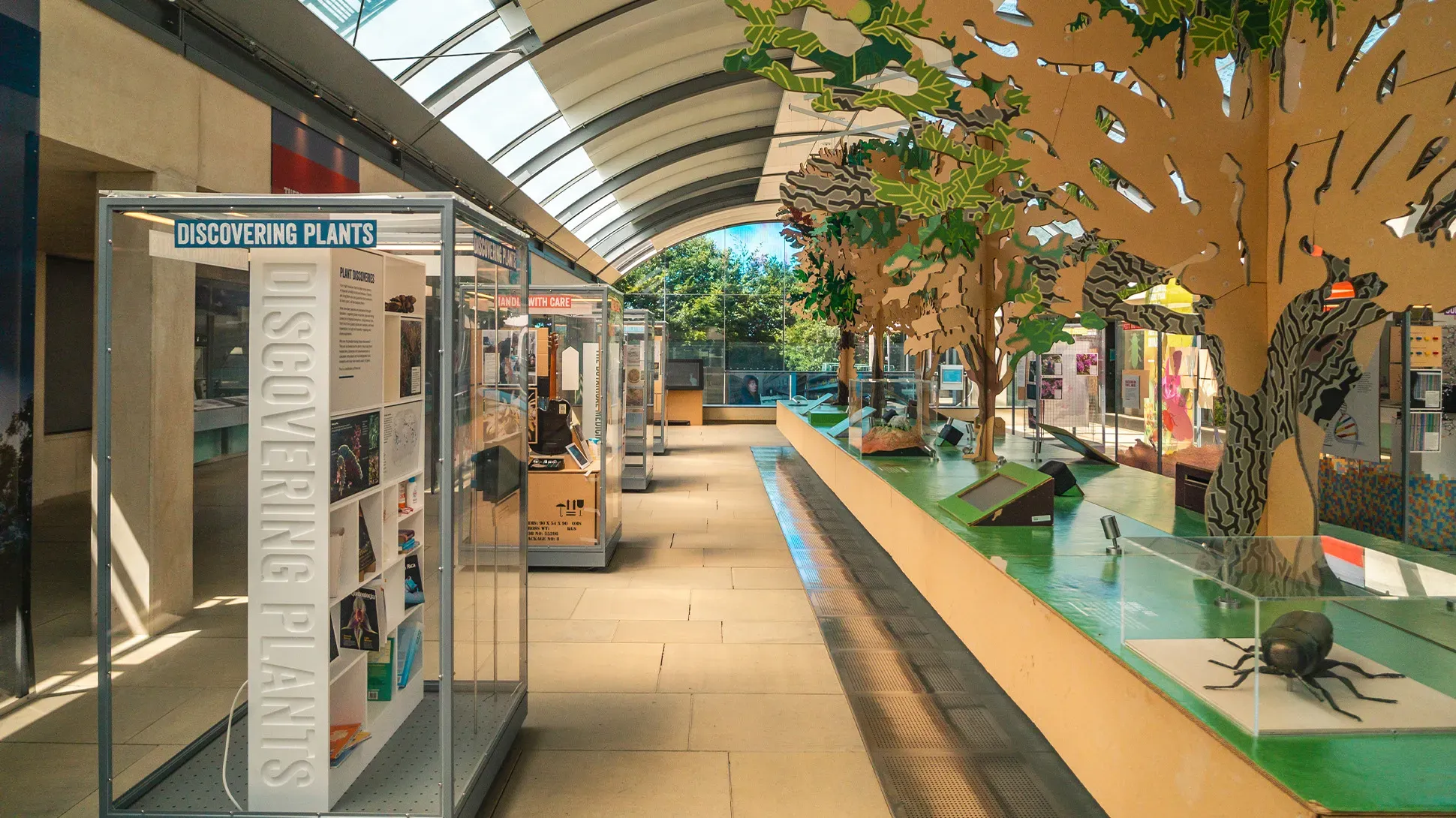 The interior of the Millennium Seed Bank Atrium, there are glass cabinets with displays and a long table with interpretation.