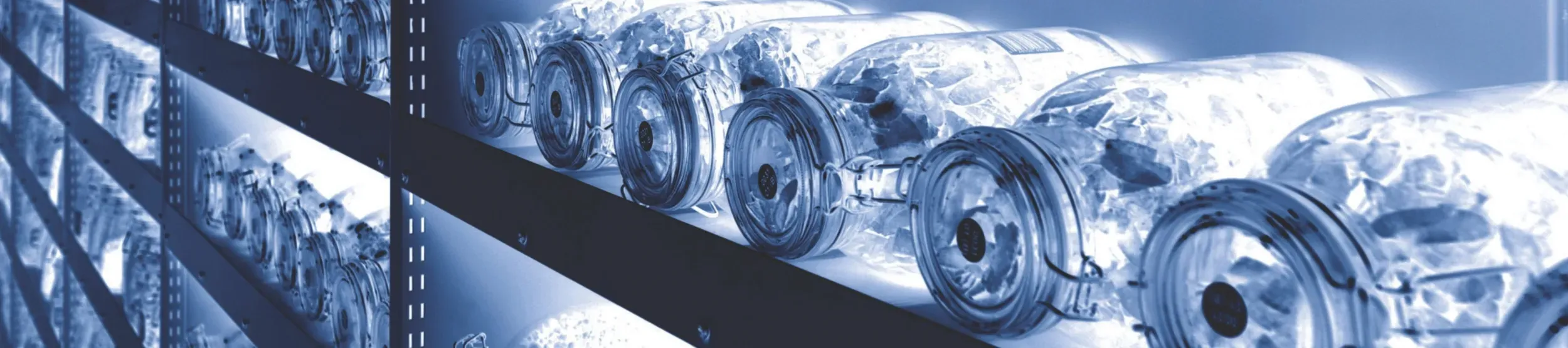 Seeds in Millennium Seed Bank