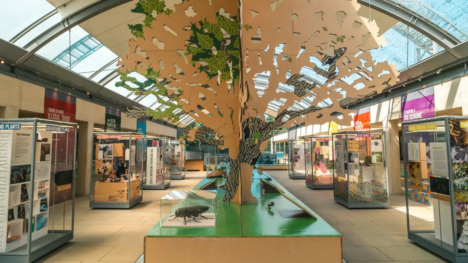 Millennium Seed Bank atrium