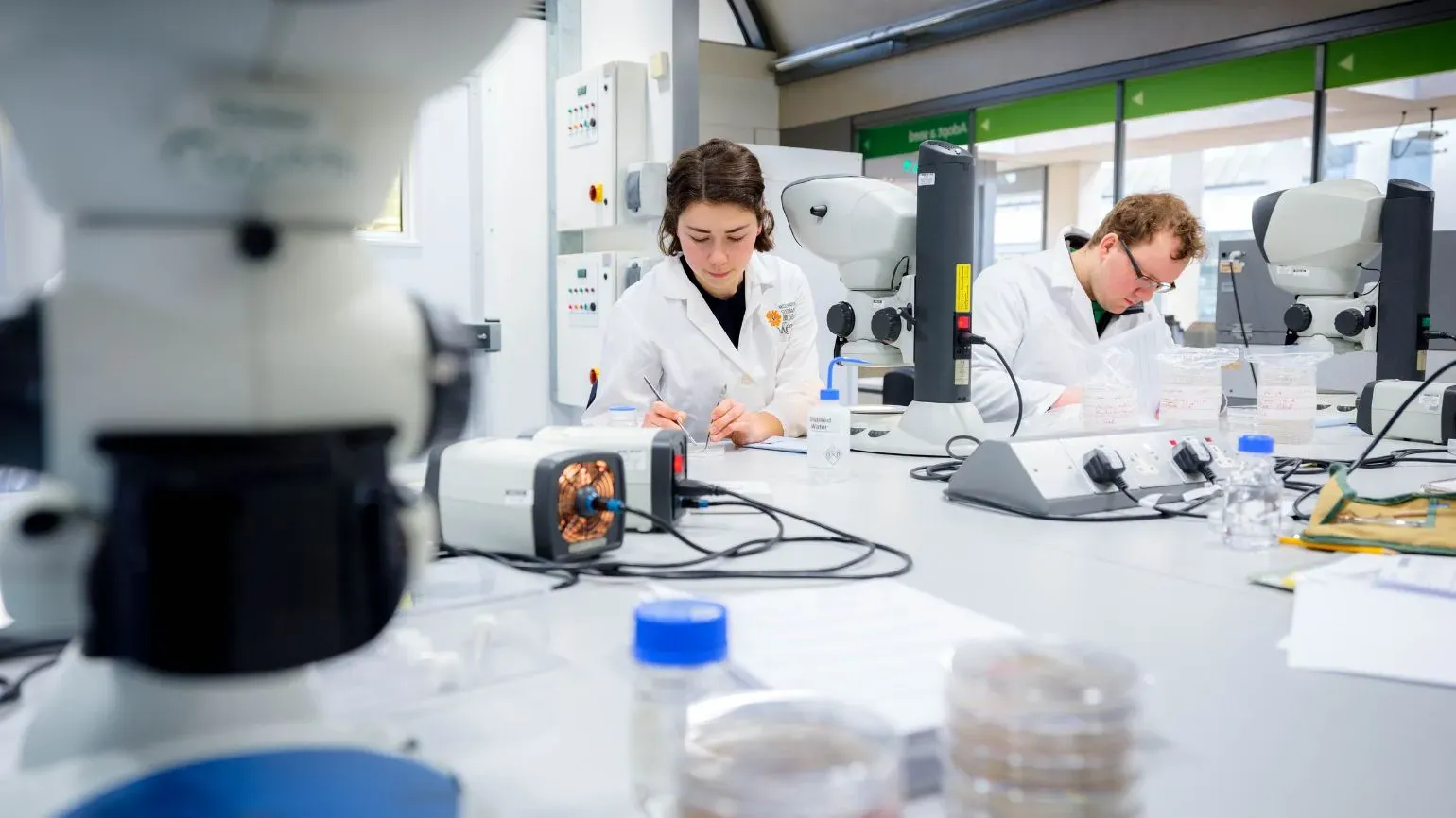 Scientists in Millennium Seed Bank