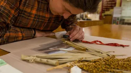 A researcher using a hand lens to inspect dried palm leaves and seeds laid out on herbarium paper.