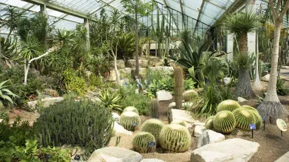 The arid section of the Princess of Wales Conservatory