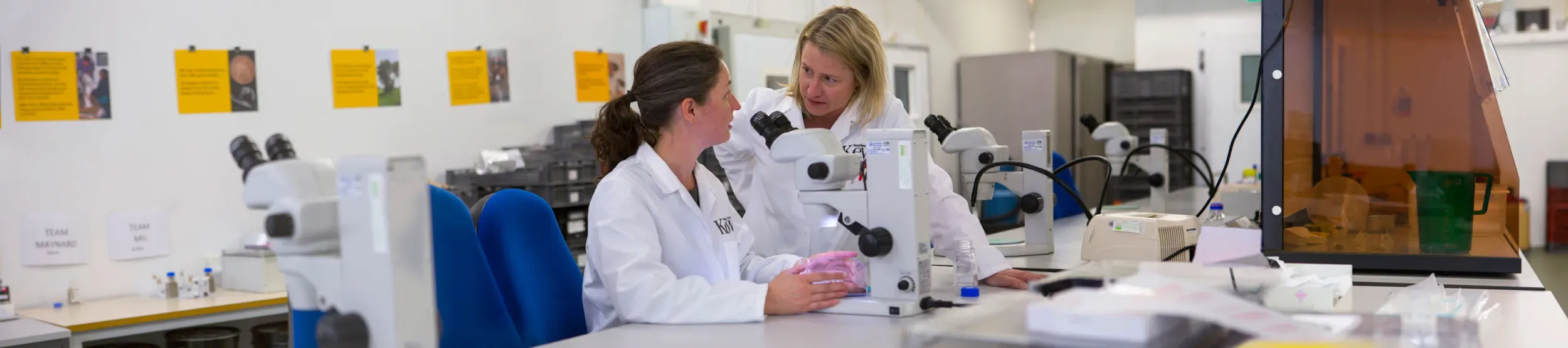 Two researchers discussing around a microscope.
