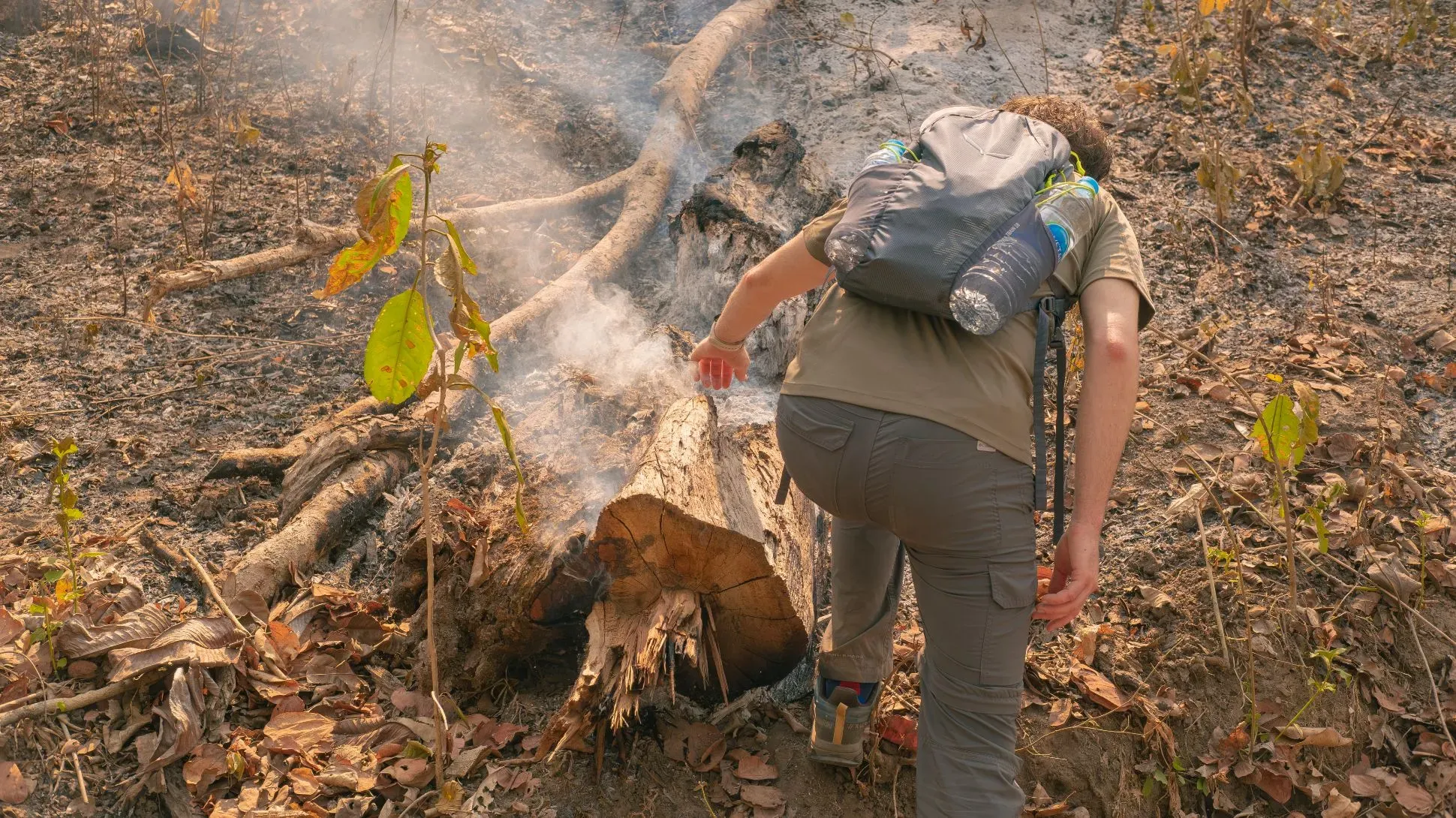 A still smouldering log surrounded by ash being investigated by a man wearing a back pack