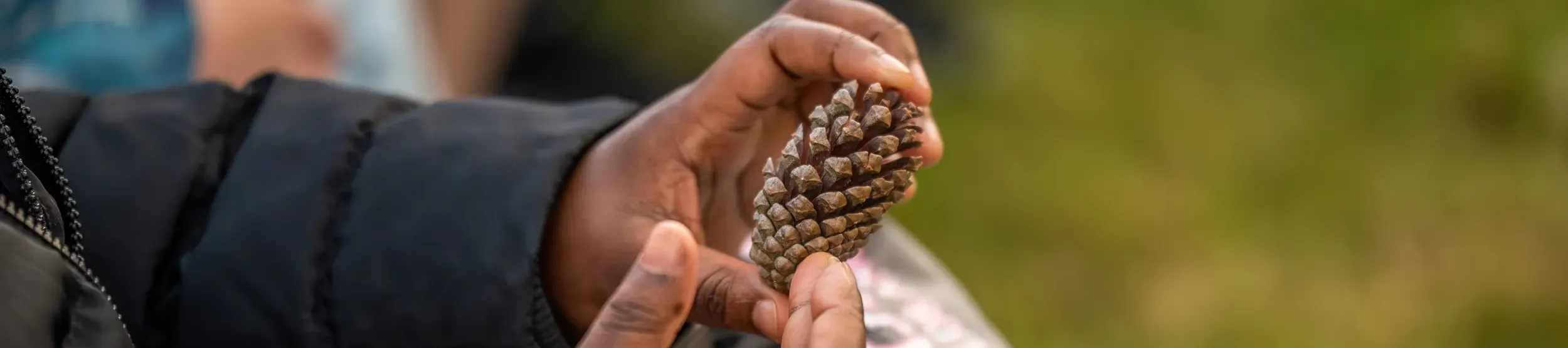 Boy holding a pine cone
