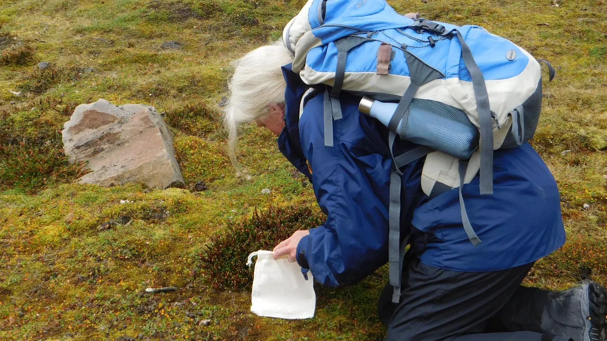 A person in a blue coat wearing a large backpack gather seeds from a grassy ground