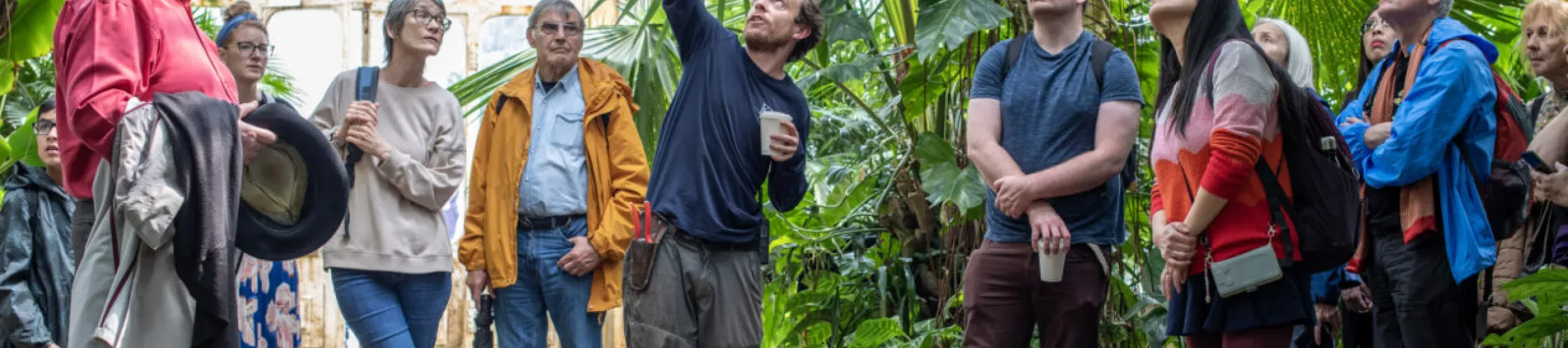 Tour group in a glasshouse, looking on as a guide gestures to a huge hanging palm leaf