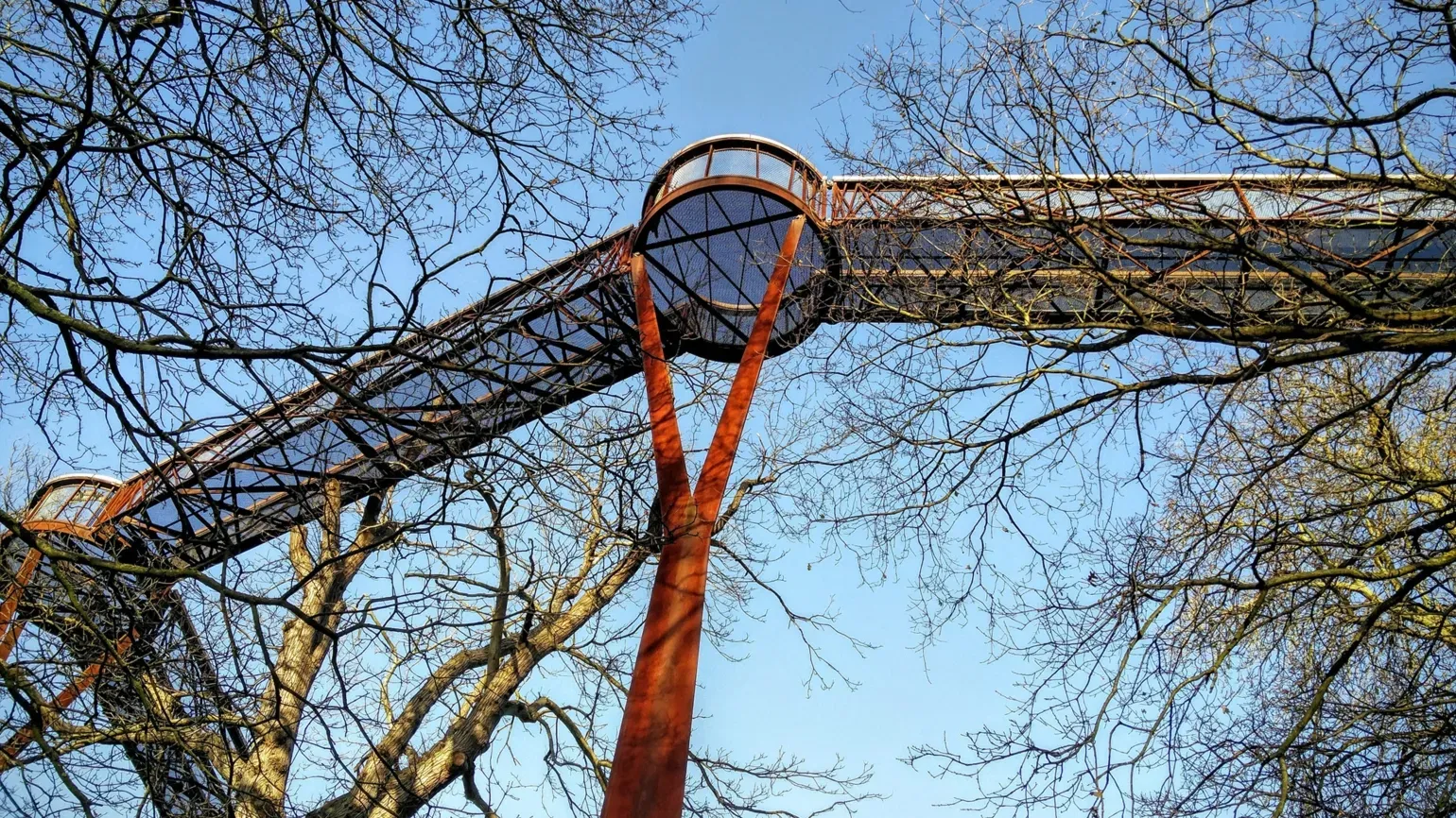 Skyview of the Treetop Walkway 